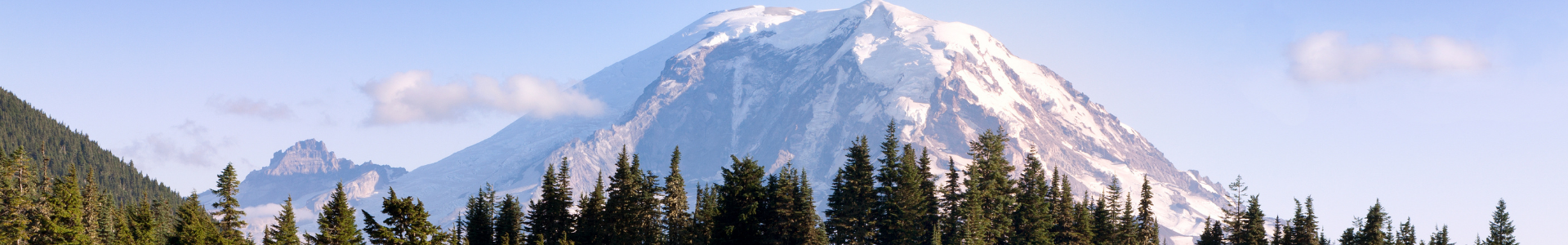 Mt. Rainier - we serve all of Tacoma/Seattle area